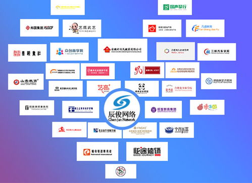 合肥辰俊信息科技 软件开发与网络推广的专业解决方案