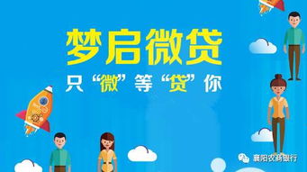 贯彻落实会议精神，加快微贷技术推广——各县市农商行深化应用微贷培训成果与软件开发